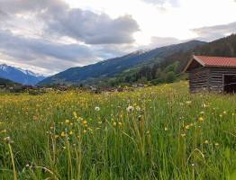 Spring in the Alps: How the mountains awaken from their winter slumber