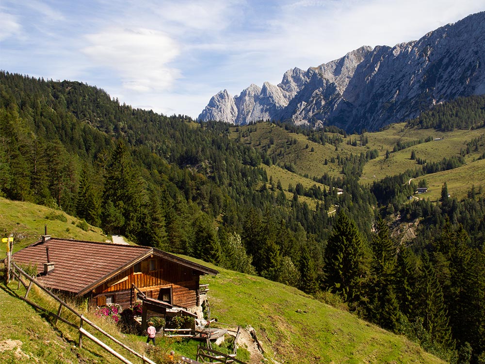 The Alm: the Magic & Reality of mountain pastures - Bergundbahn.com