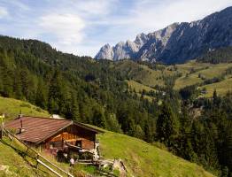 What is an Alm? Discover the magic and harsh reality of mountain pastures