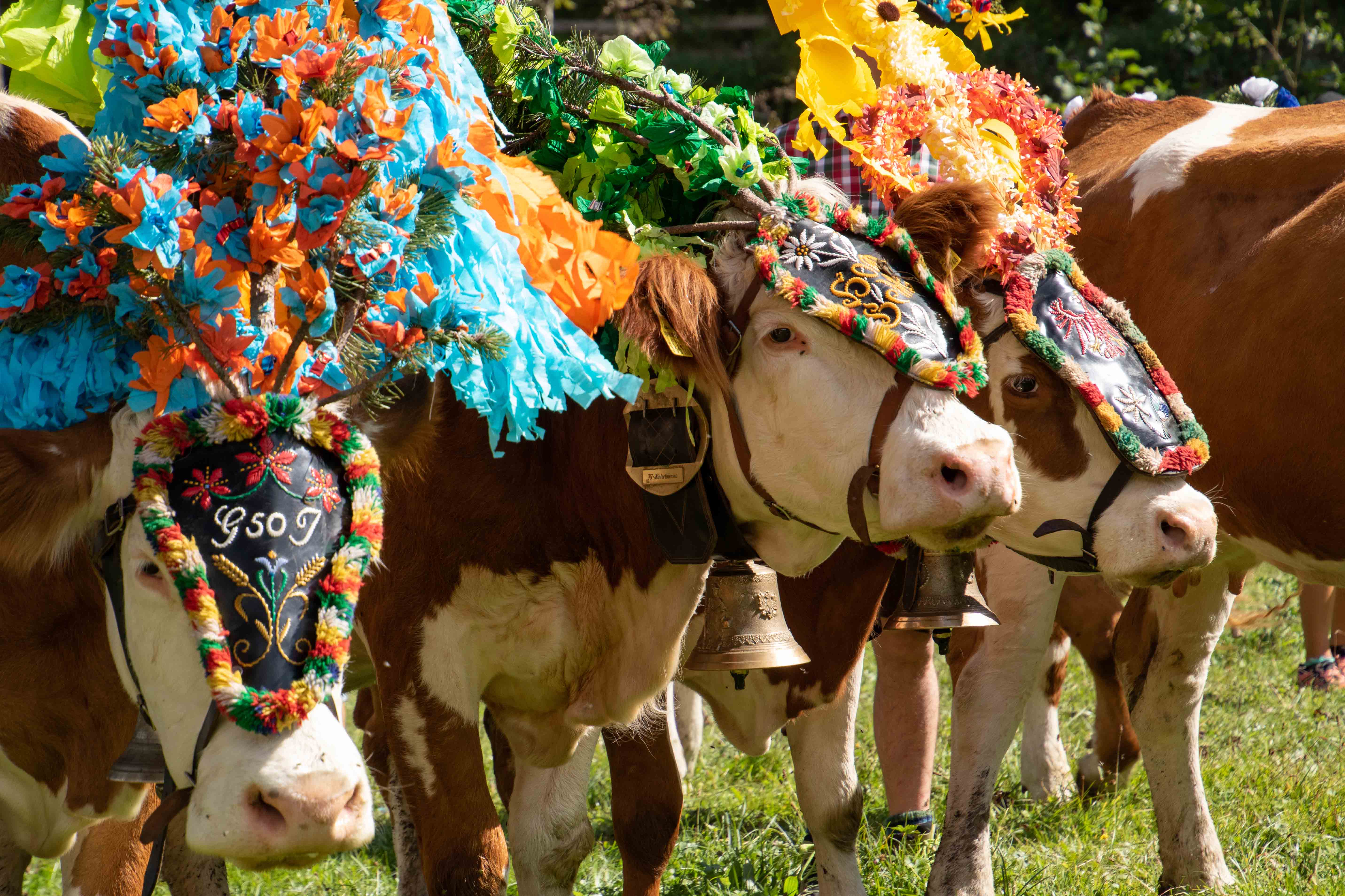 2025 Alps Event Calendar â€“ Festivals & Local Traditions â€“ Bergundbahn.com