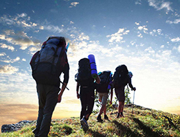 Nordic walking poles